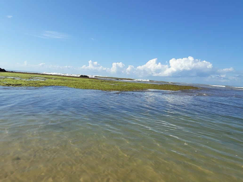 Laser e divers�o para fam�lia do trabalhador!